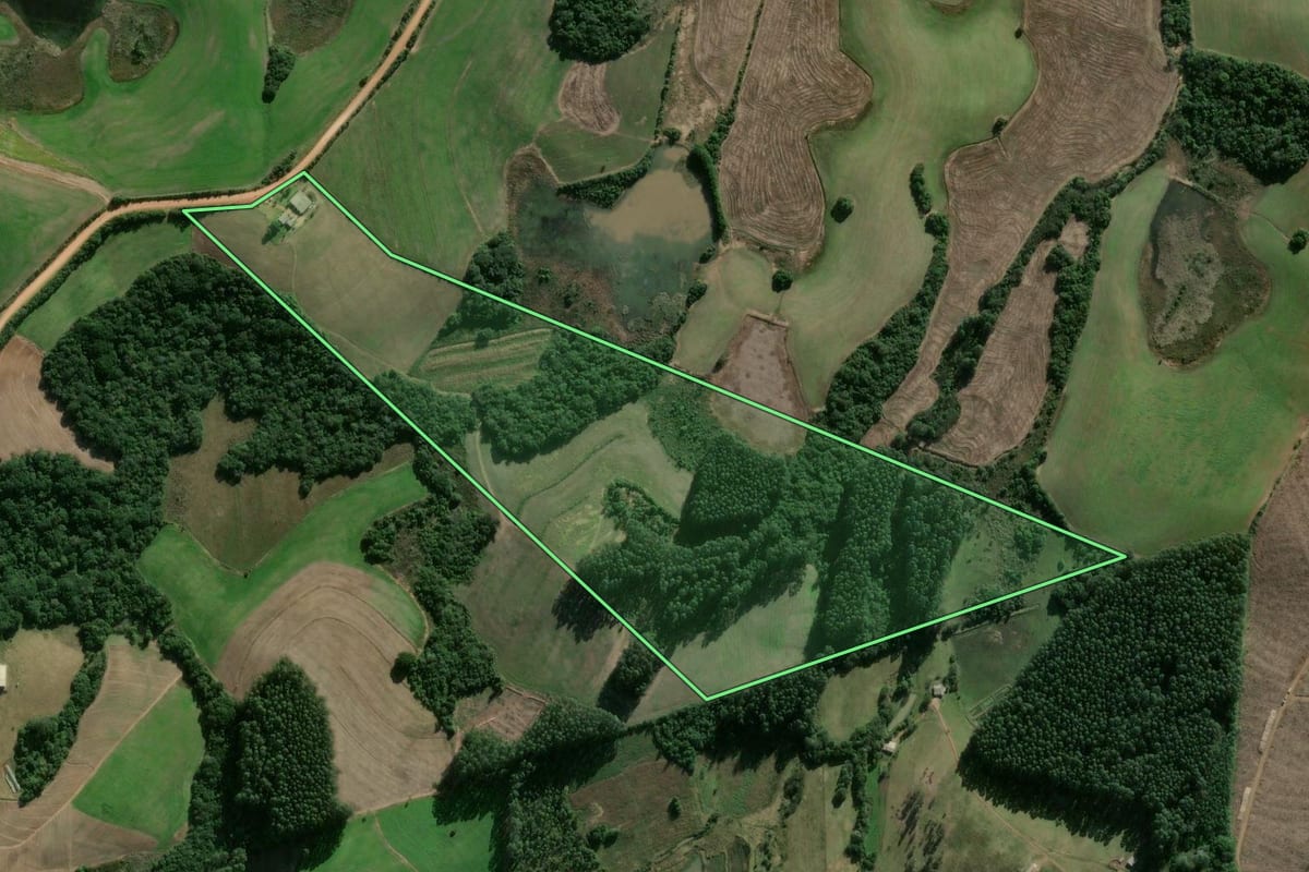 Imagem de satélite do imóvel rural em Camaquã (RS), com o contorno declarado no CAR desenhado por cima.