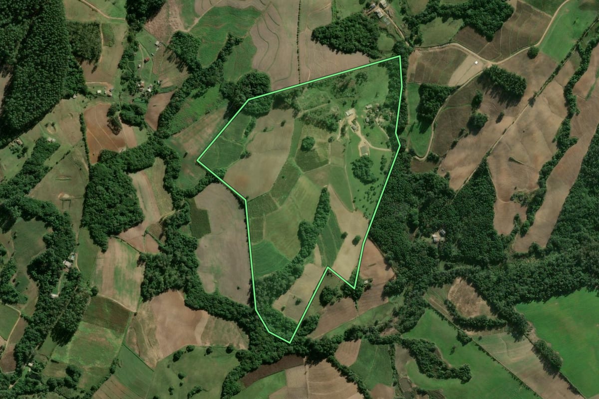 Imagem de satélite do imóvel rural em Camaquã (RS), com o contorno declarado no CAR desenhado por cima.