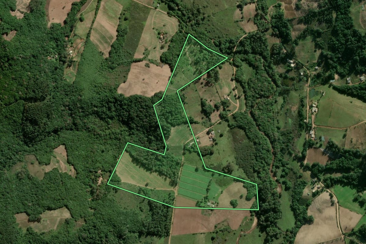 Imagem de satélite do imóvel rural em Camaquã (RS), com o contorno declarado no CAR desenhado por cima.
