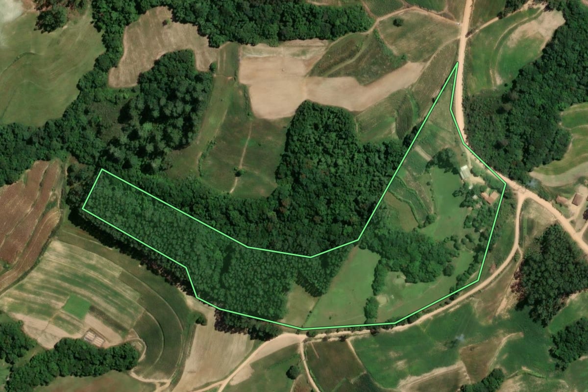 Imagem de satélite do imóvel rural em Camaquã (RS), com o contorno declarado no CAR desenhado por cima.