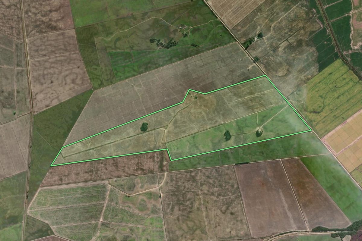 Imagem de satélite do imóvel rural em Camaquã (RS), com o contorno declarado no CAR desenhado por cima.