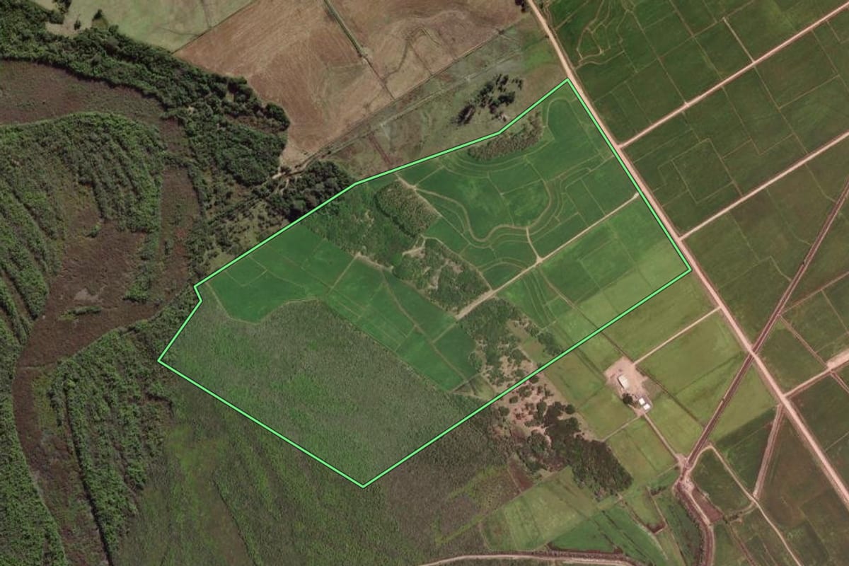 Imagem de satélite do imóvel rural em Camaquã (RS), com o contorno declarado no CAR desenhado por cima.