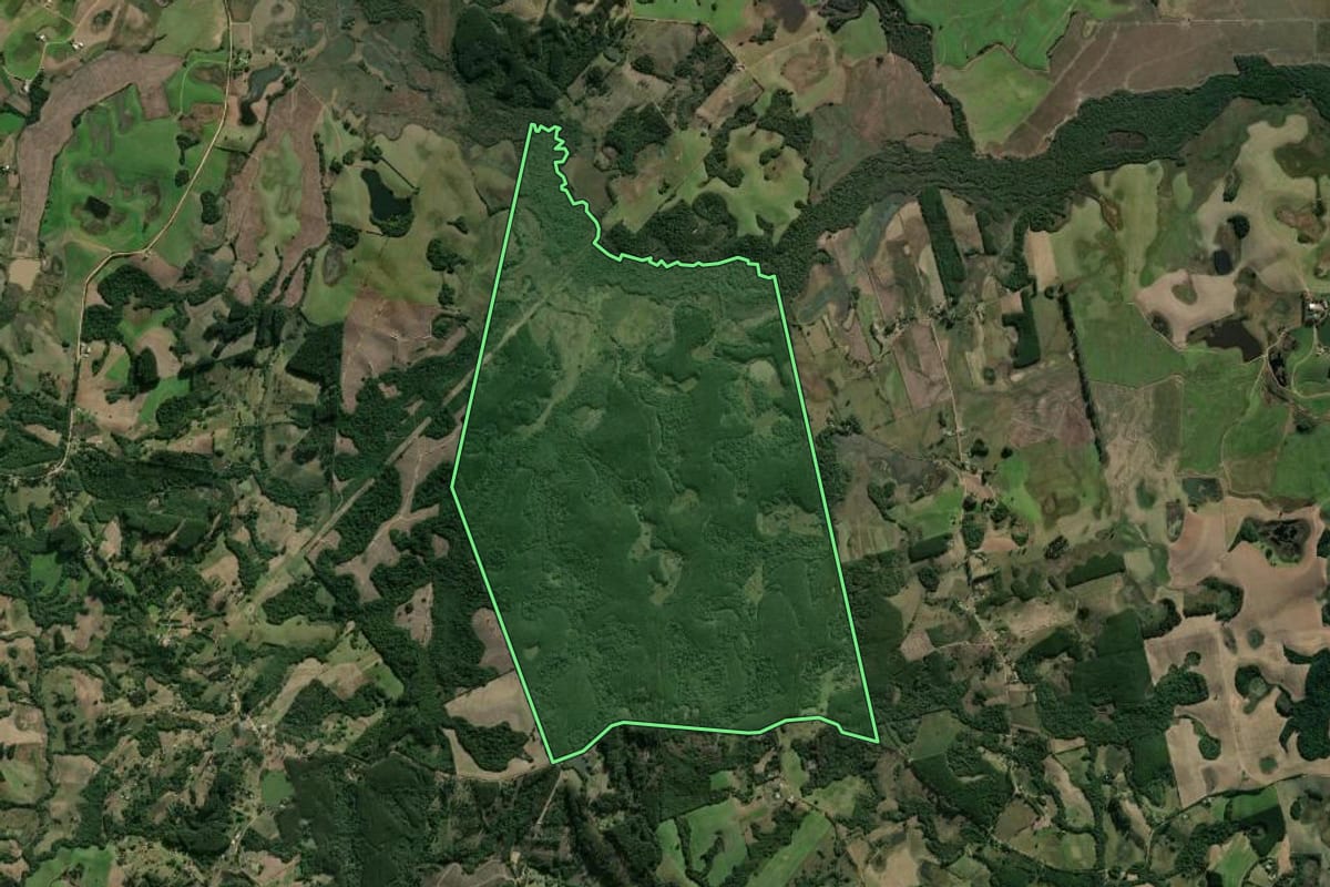 Imagem de satélite do imóvel rural em Camaquã (RS), com o contorno declarado no CAR desenhado por cima.