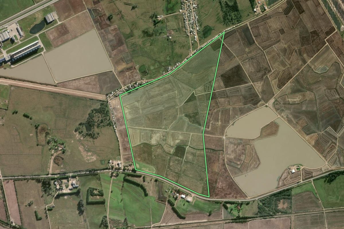 Imagem de satélite do imóvel rural em Camaquã (RS), com o contorno declarado no CAR desenhado por cima.