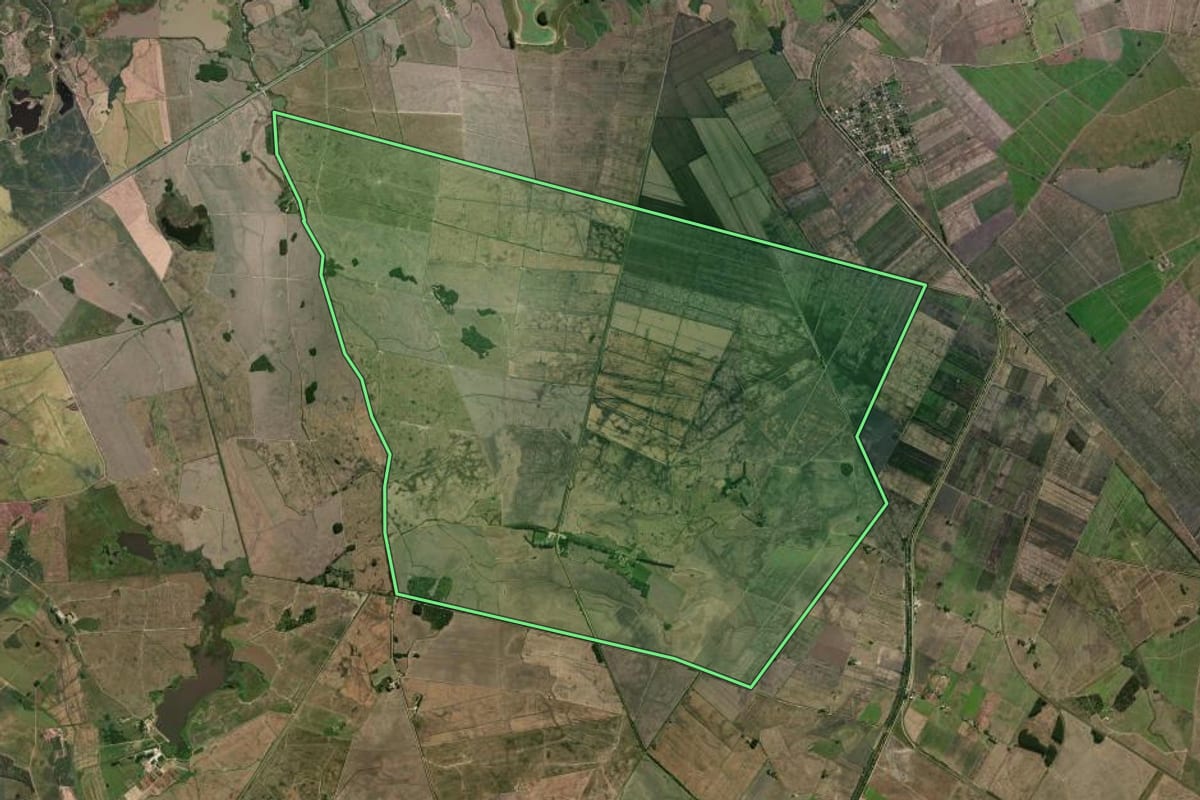 Imagem de satélite do imóvel rural em Camaquã (RS), com o contorno declarado no CAR desenhado por cima.