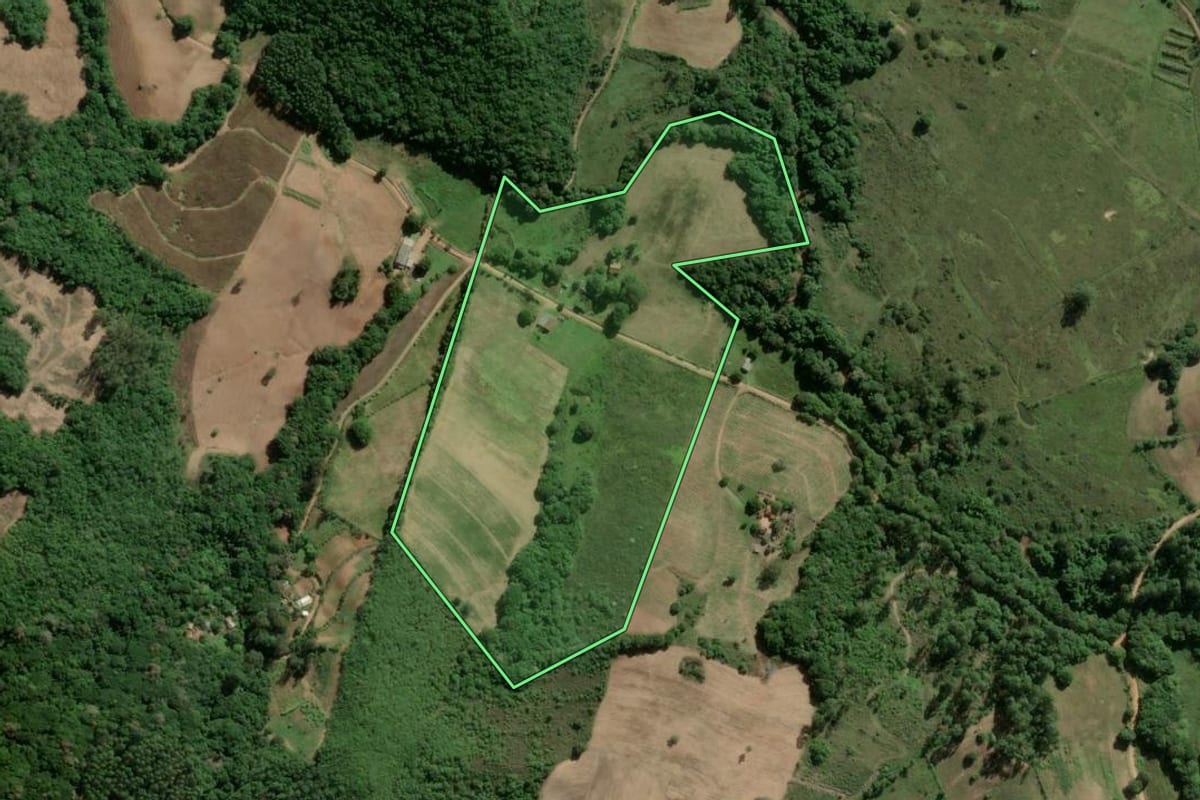 Imagem de satélite do imóvel rural em Camaquã (RS), com o contorno declarado no CAR desenhado por cima.