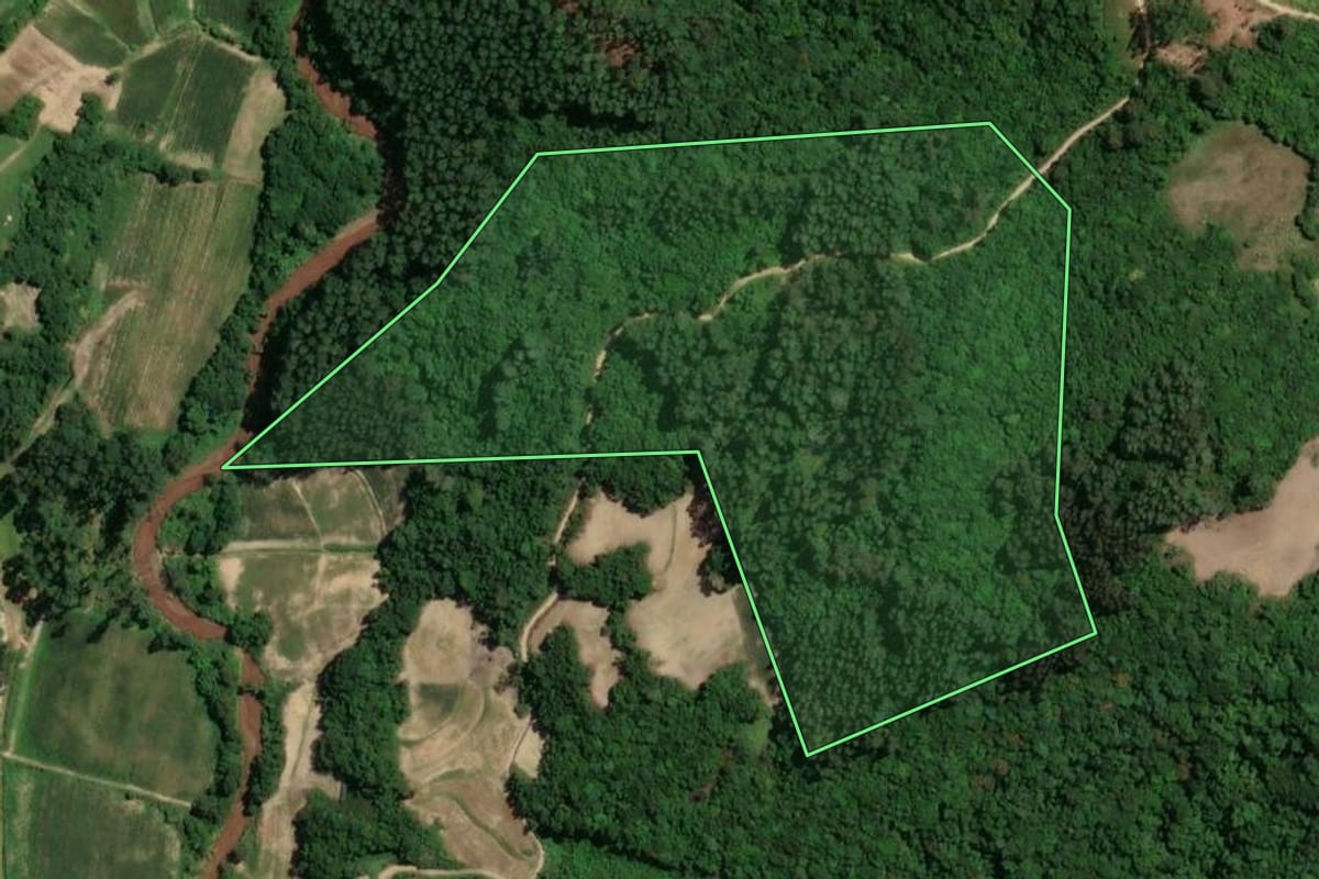 Imagem de satélite do imóvel rural em Camaquã (RS), com o contorno declarado no CAR desenhado por cima.