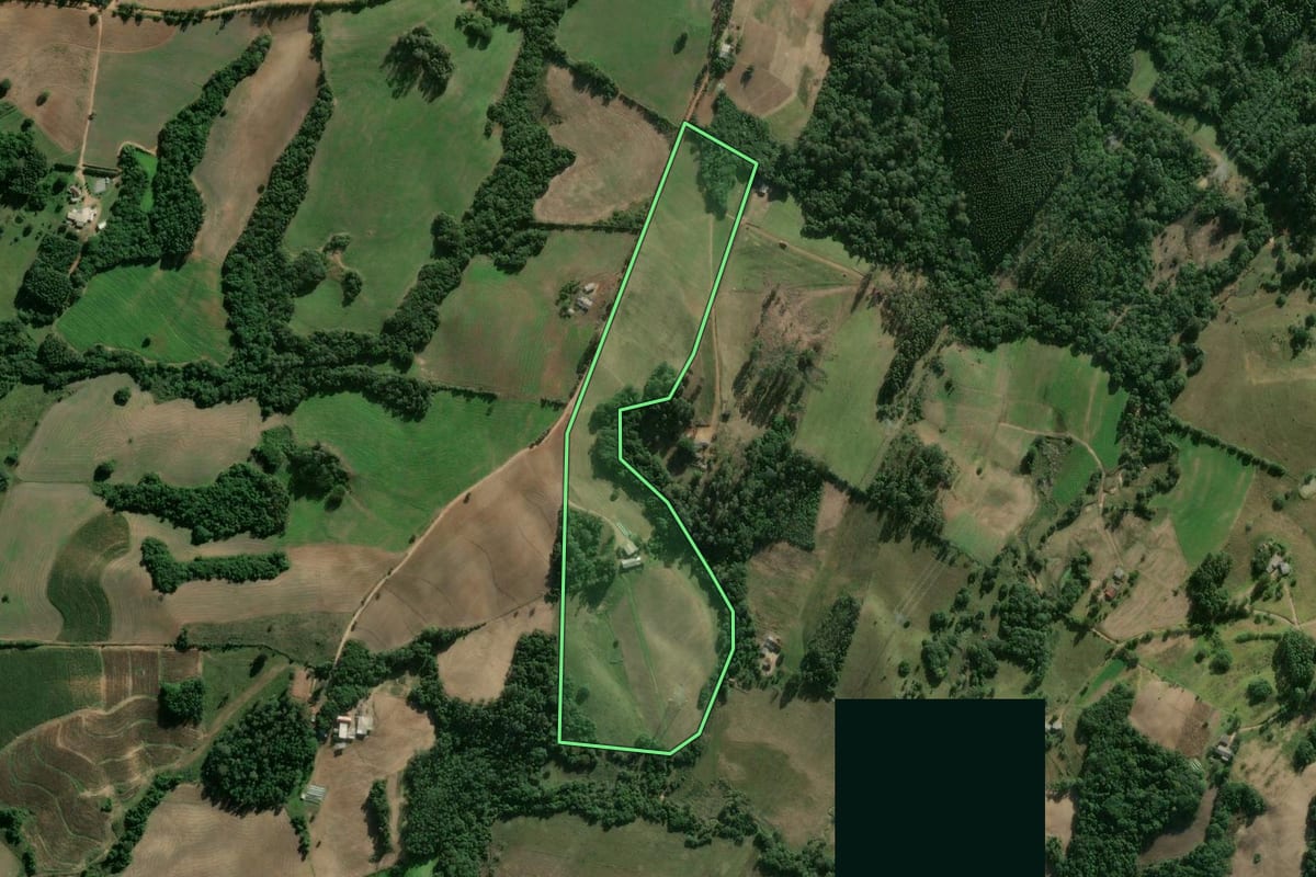 Imagem de satélite do imóvel rural em Camaquã (RS), com o contorno declarado no CAR desenhado por cima.