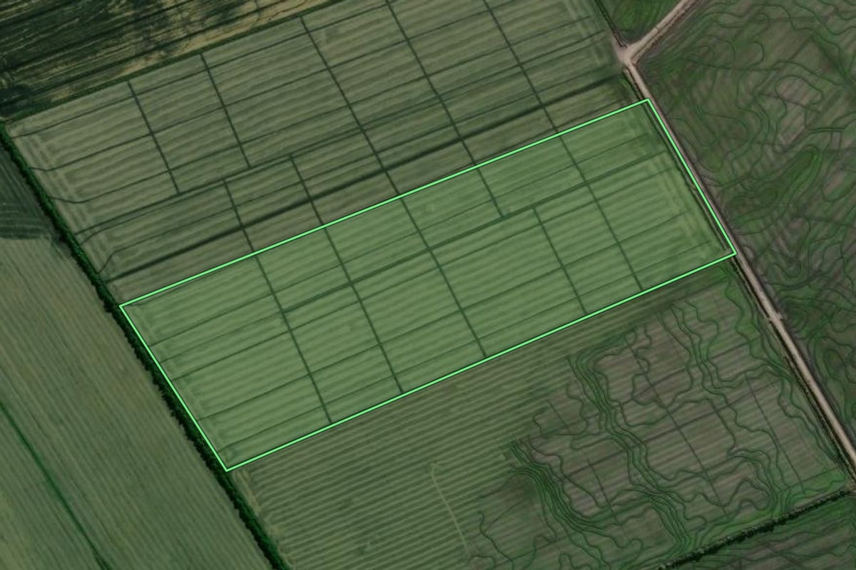 Imagem de satélite do imóvel rural em Camaquã (RS), com o contorno declarado no CAR desenhado por cima.