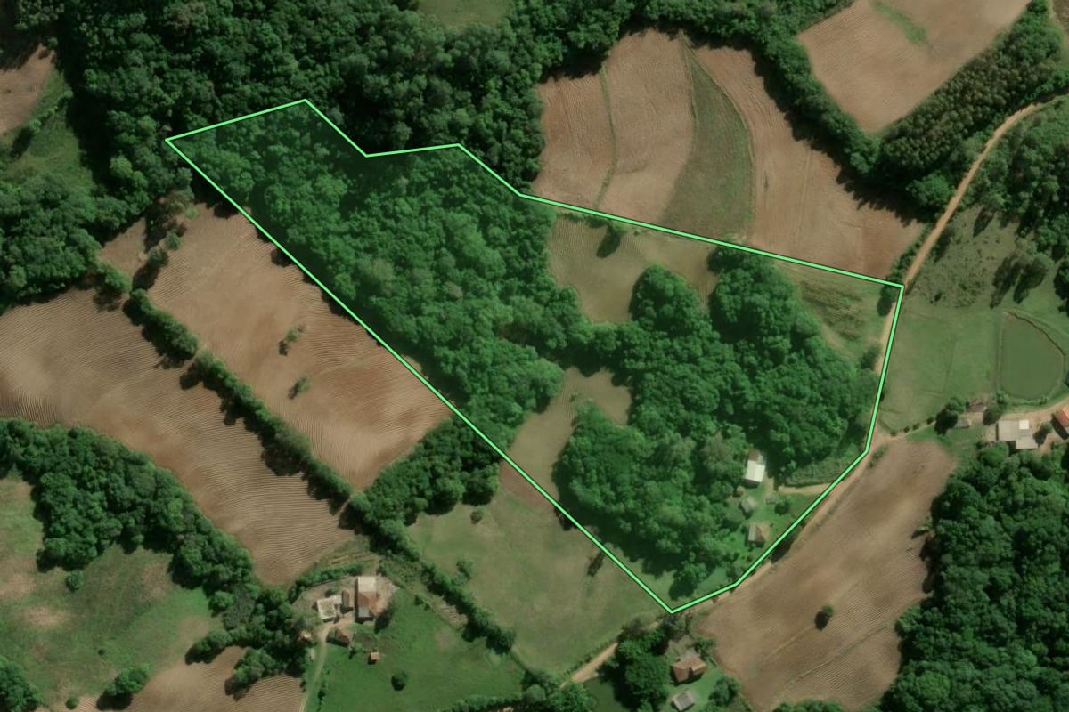 Imagem de satélite do imóvel rural em Camaquã (RS), com o contorno declarado no CAR desenhado por cima.