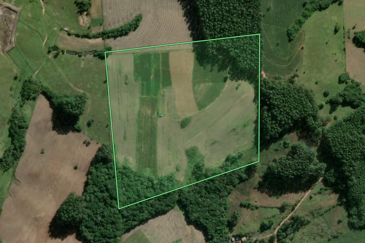 Imagem de satélite do imóvel rural em Camaquã (RS), com o contorno declarado no CAR desenhado por cima.