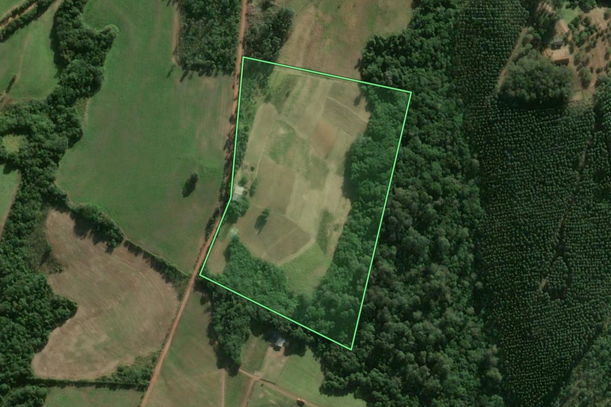 Imagem de satélite do imóvel rural em Camaquã (RS), com o contorno declarado no CAR desenhado por cima.