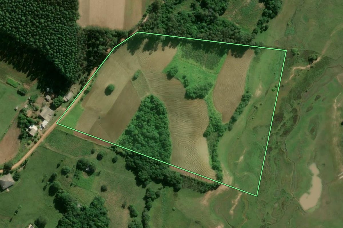 Imagem de satélite do imóvel rural em Camaquã (RS), com o contorno declarado no CAR desenhado por cima.