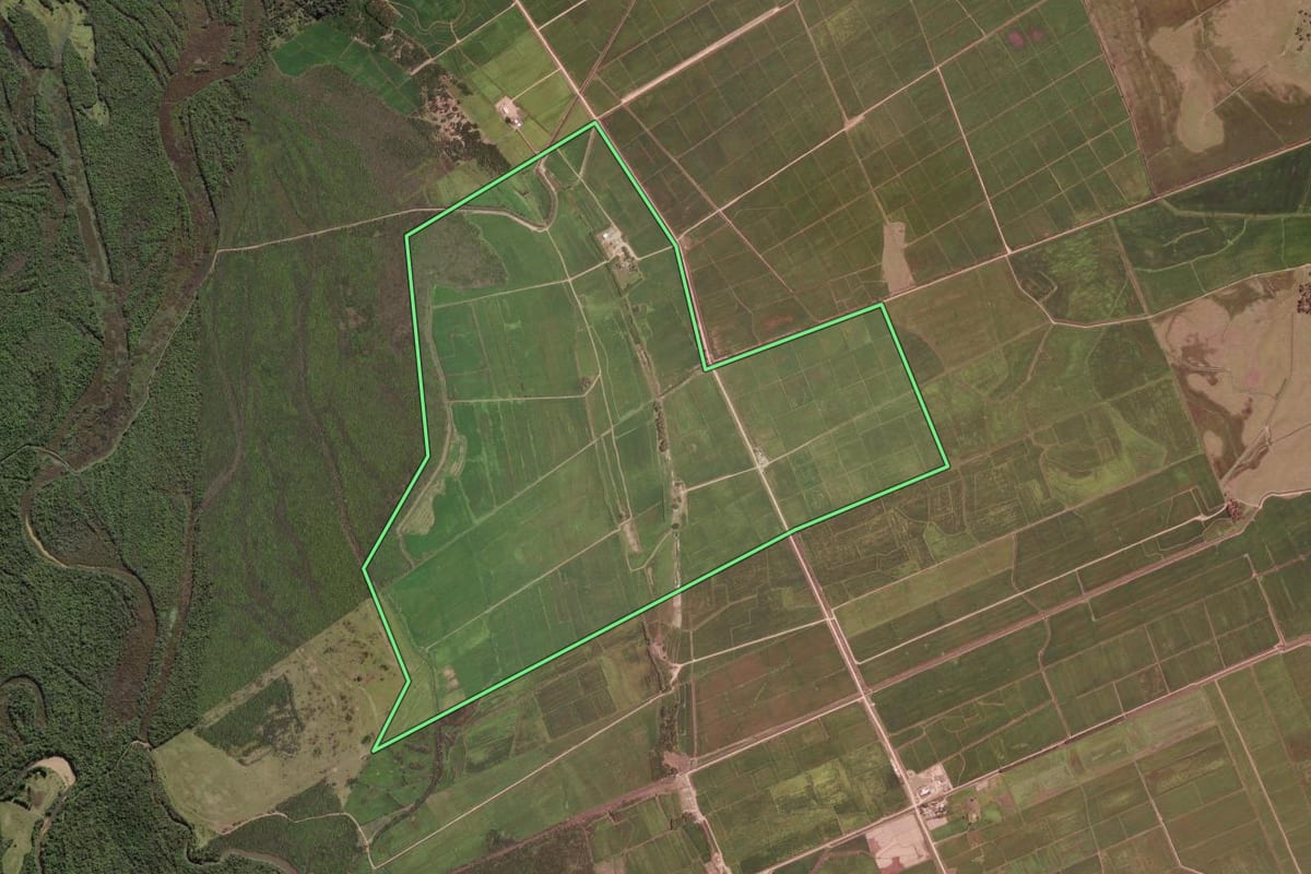 Imagem de satélite do imóvel rural em Camaquã (RS), com o contorno declarado no CAR desenhado por cima.