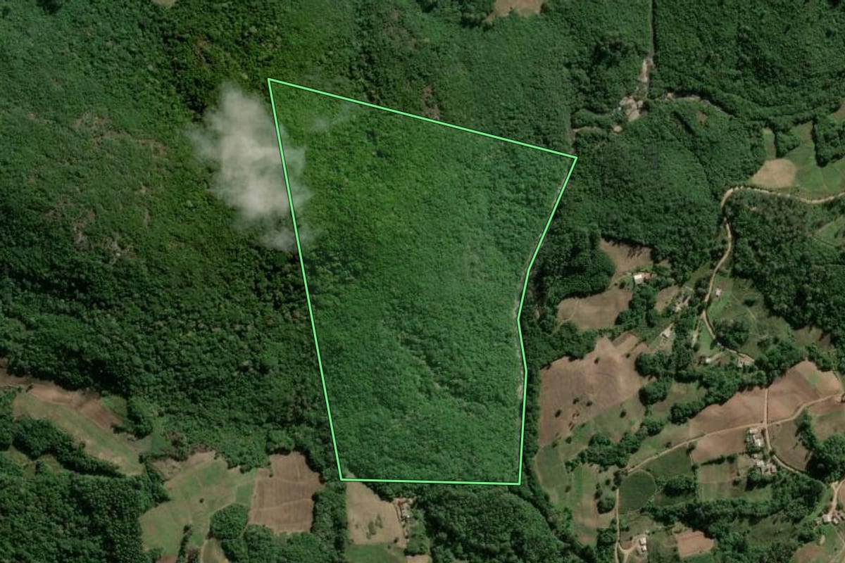 Imagem de satélite do imóvel rural em Camaquã (RS), com o contorno declarado no CAR desenhado por cima.