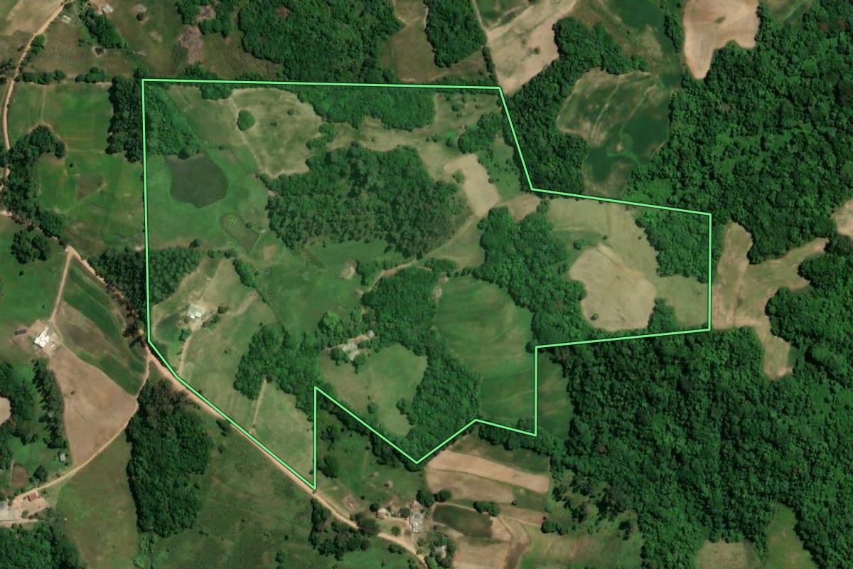 Imagem de satélite do imóvel rural em Camaquã (RS), com o contorno declarado no CAR desenhado por cima.