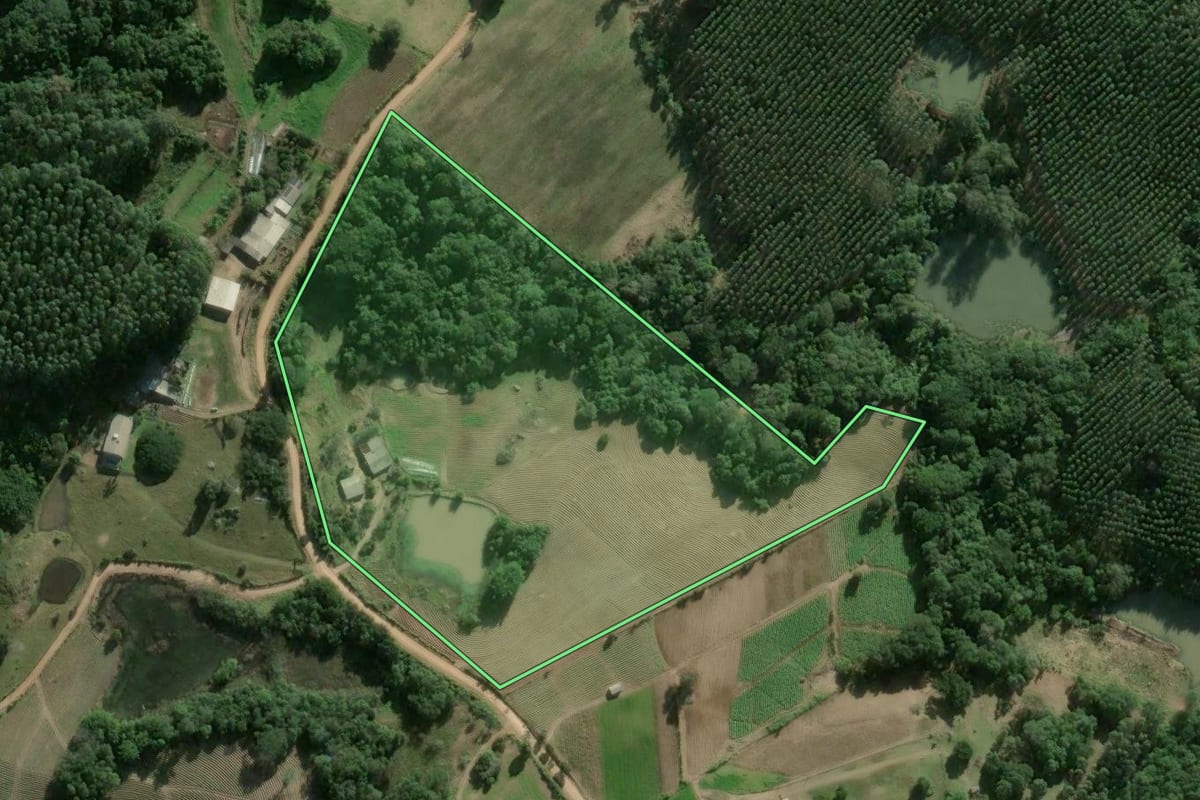 Imagem de satélite do imóvel rural em Camaquã (RS), com o contorno declarado no CAR desenhado por cima.