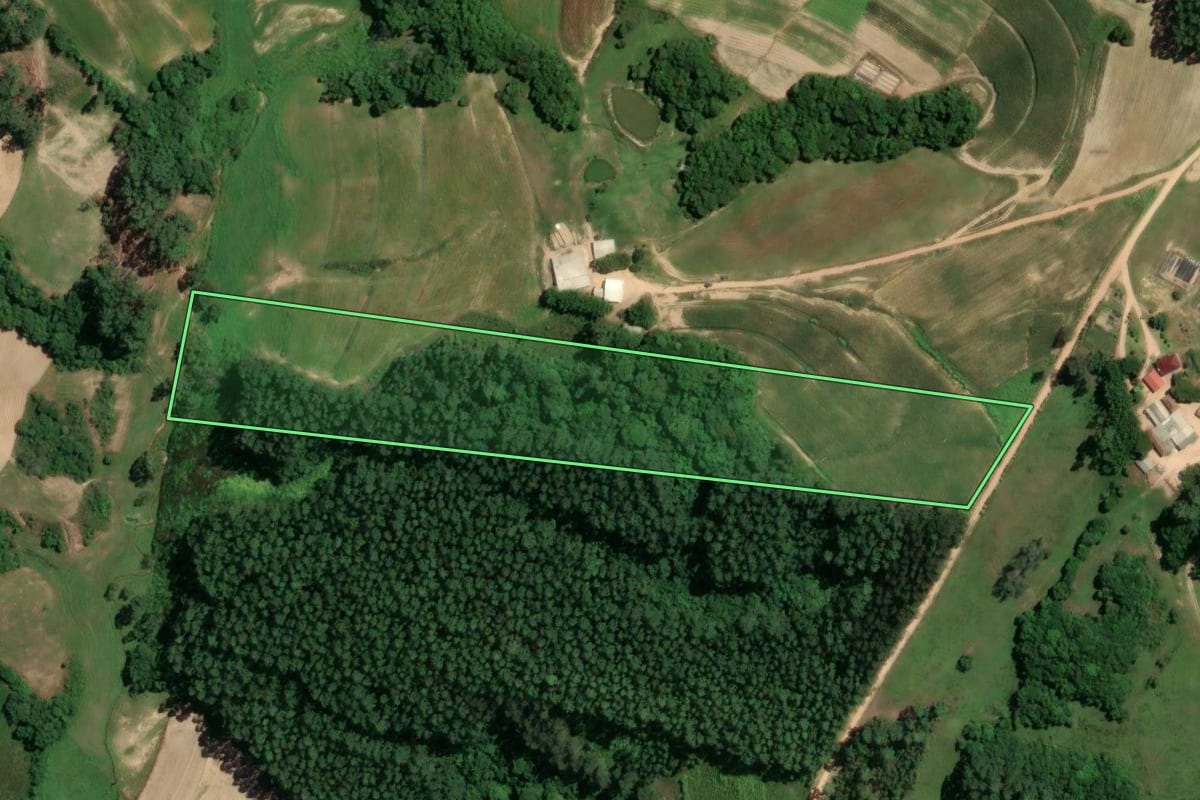 Imagem de satélite do imóvel rural em Camaquã (RS), com o contorno declarado no CAR desenhado por cima.