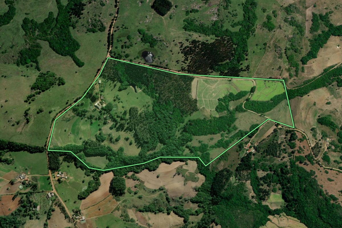 Imagem de satélite do imóvel rural em Camaquã (RS), com o contorno declarado no CAR desenhado por cima.