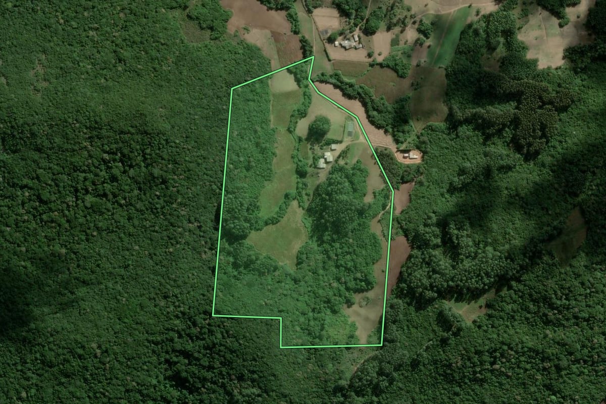 Imagem de satélite do imóvel rural em Camaquã (RS), com o contorno declarado no CAR desenhado por cima.