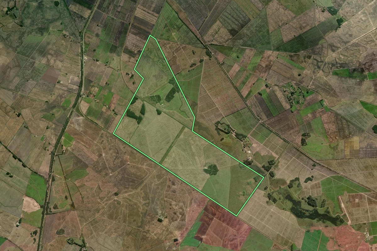 Imagem de satélite do imóvel rural em Camaquã (RS), com o contorno declarado no CAR desenhado por cima.