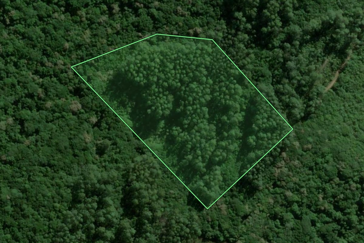 Imagem de satélite do imóvel rural em Camaquã (RS), com o contorno declarado no CAR desenhado por cima.