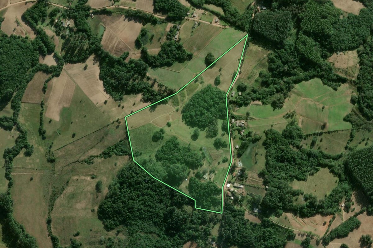 Imagem de satélite do imóvel rural em Camaquã (RS), com o contorno declarado no CAR desenhado por cima.