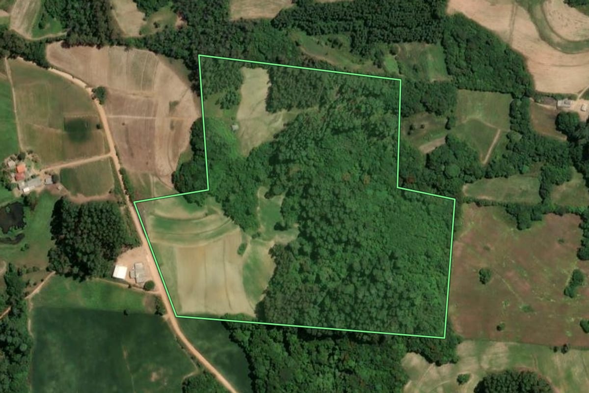 Imagem de satélite do imóvel rural em Camaquã (RS), com o contorno declarado no CAR desenhado por cima.