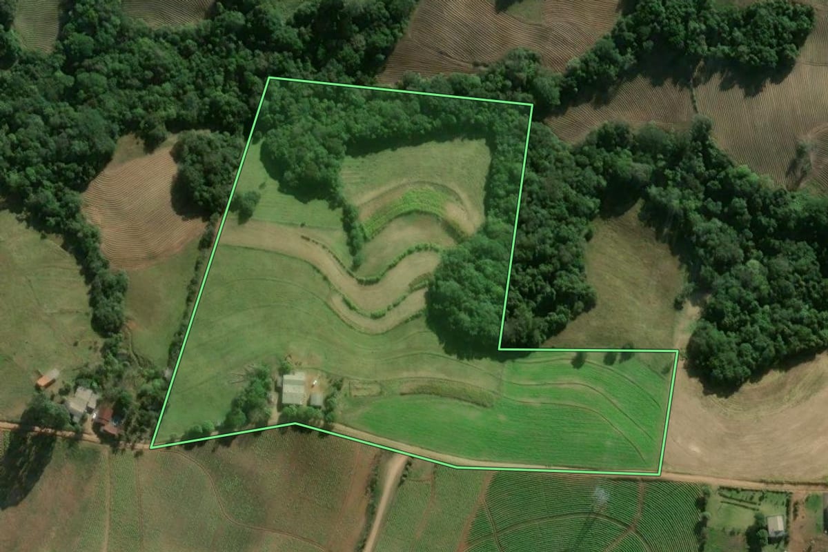 Imagem de satélite do imóvel rural em Camaquã (RS), com o contorno declarado no CAR desenhado por cima.