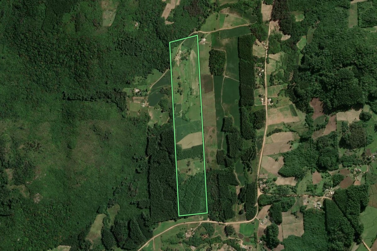 Imagem de satélite do imóvel rural em Camaquã (RS), com o contorno declarado no CAR desenhado por cima.