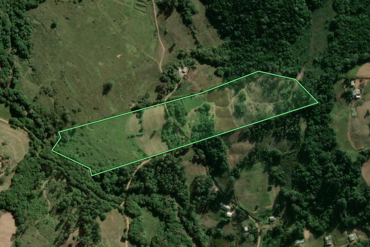 Imagem de satélite do imóvel rural em Camaquã (RS), com o contorno declarado no CAR desenhado por cima.