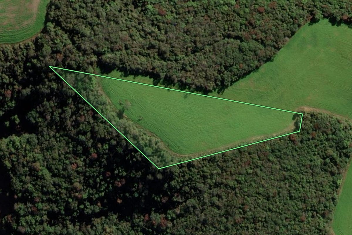 Imagem de satélite do imóvel rural em Camargo (RS), com o contorno declarado no CAR desenhado por cima.