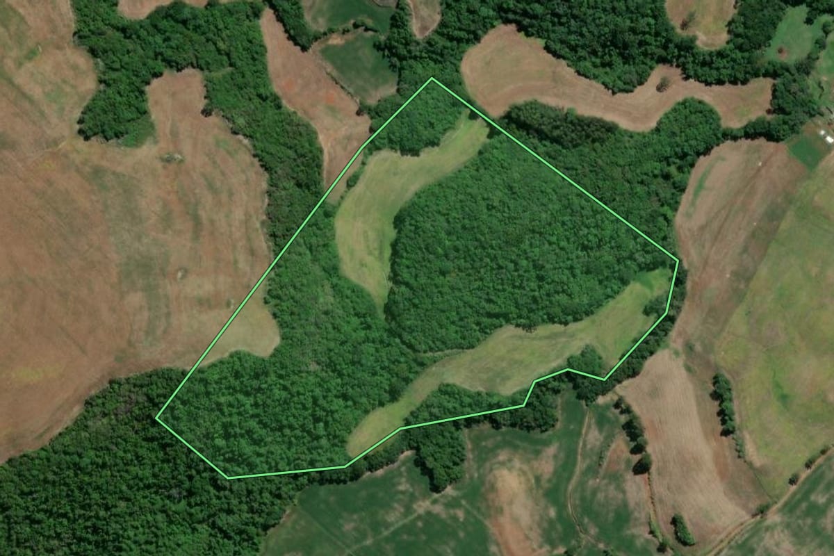Imagem de satélite do imóvel rural em Camargo (RS), com o contorno declarado no CAR desenhado por cima.