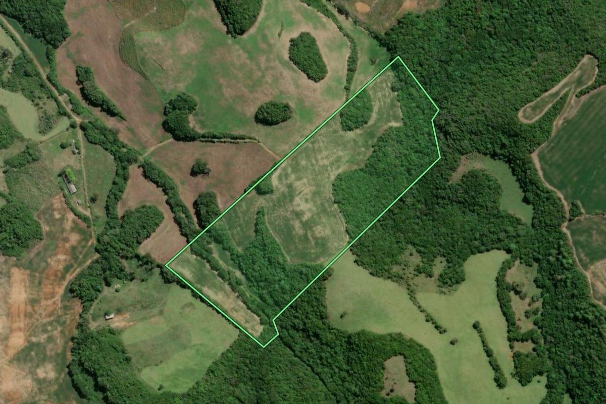 Imagem de satélite do imóvel rural em Camargo (RS), com o contorno declarado no CAR desenhado por cima.