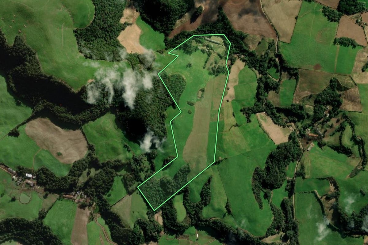 Imagem de satélite do imóvel rural em Camargo (RS), com o contorno declarado no CAR desenhado por cima.