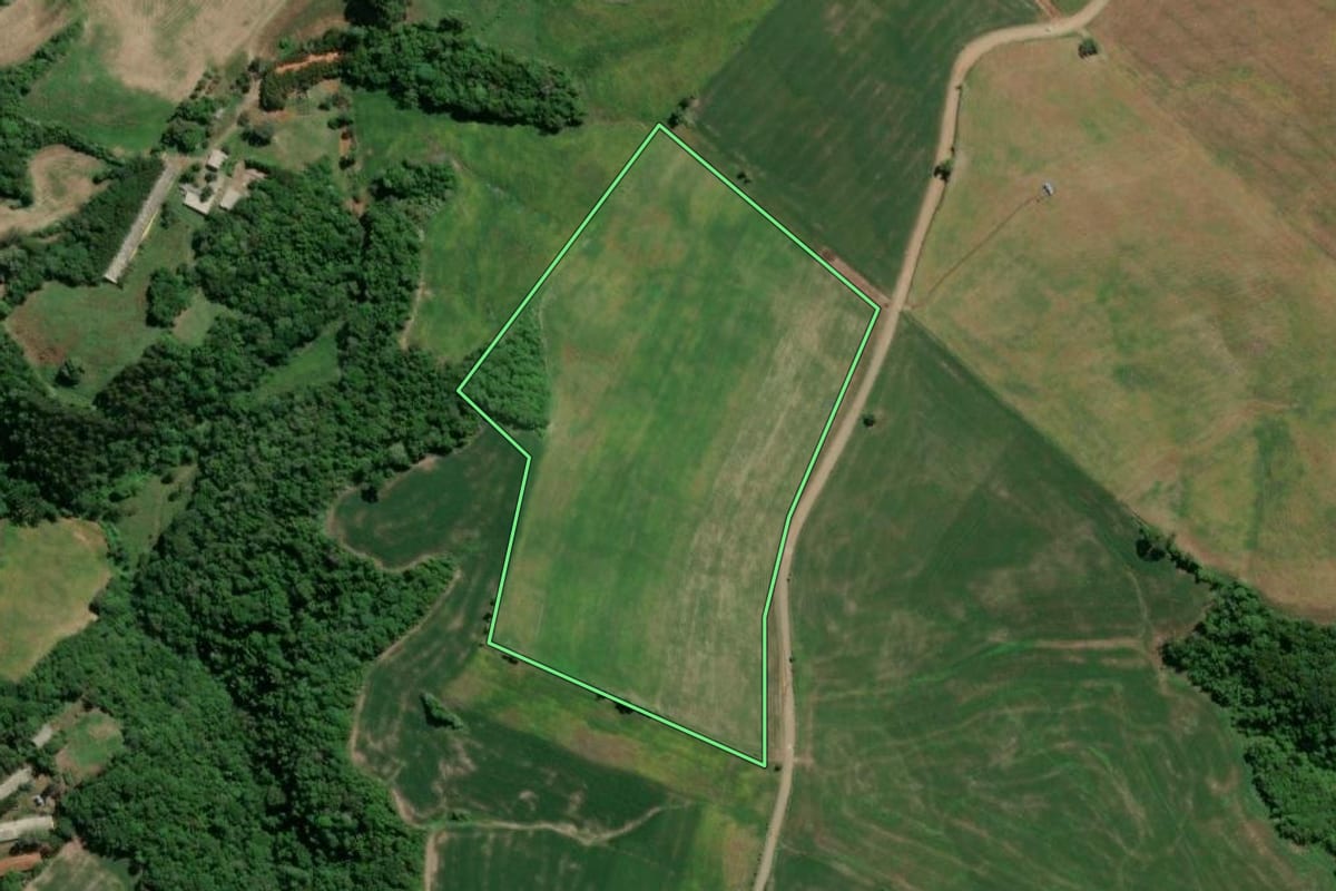 Imagem de satélite do imóvel rural em Camargo (RS), com o contorno declarado no CAR desenhado por cima.
