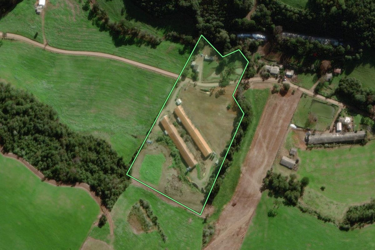 Imagem de satélite do imóvel rural em Camargo (RS), com o contorno declarado no CAR desenhado por cima.