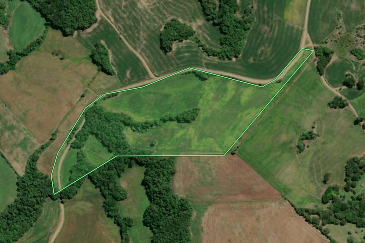 Imagem de satélite do imóvel rural em Camargo (RS), com o contorno declarado no CAR desenhado por cima.