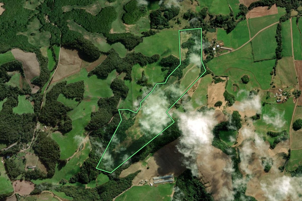 Imagem de satélite do imóvel rural em Camargo (RS), com o contorno declarado no CAR desenhado por cima.