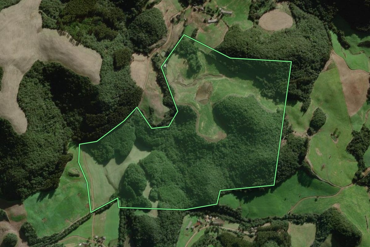 Imagem de satélite do imóvel rural em Camargo (RS), com o contorno declarado no CAR desenhado por cima.