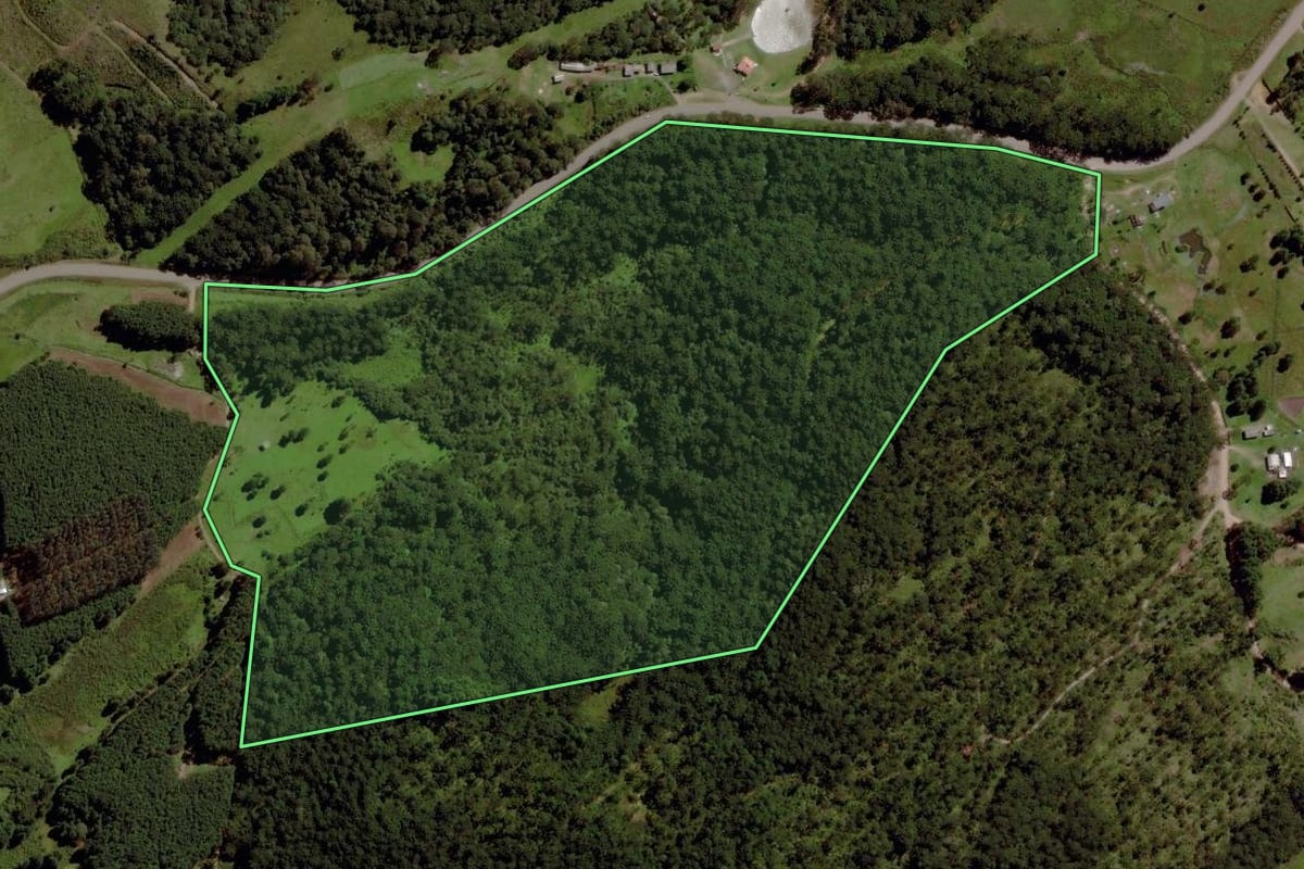 Imagem de satélite do imóvel rural em Cambará do Sul (RS), com o contorno declarado no CAR desenhado por cima.
