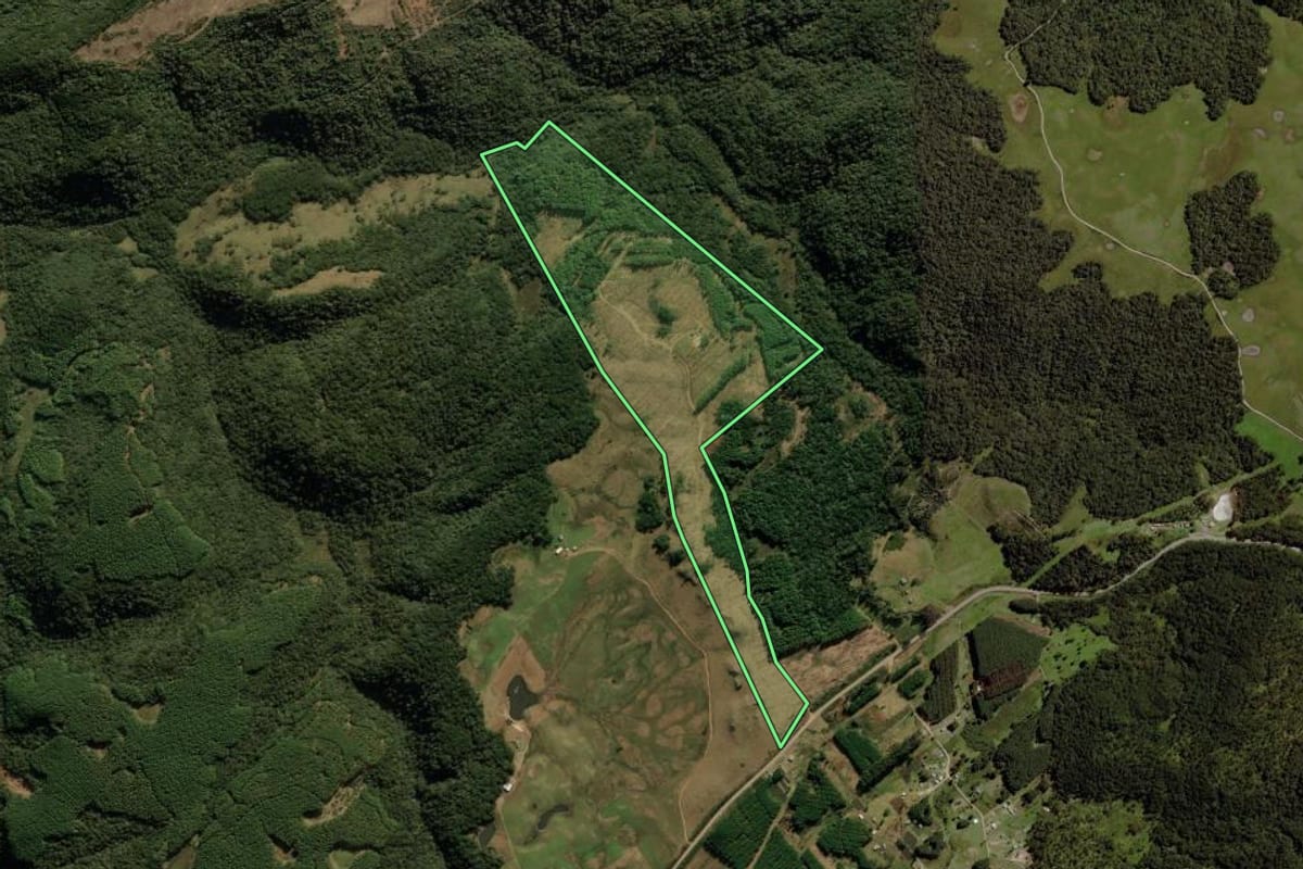 Imagem de satélite do imóvel rural em Cambará do Sul (RS), com o contorno declarado no CAR desenhado por cima.