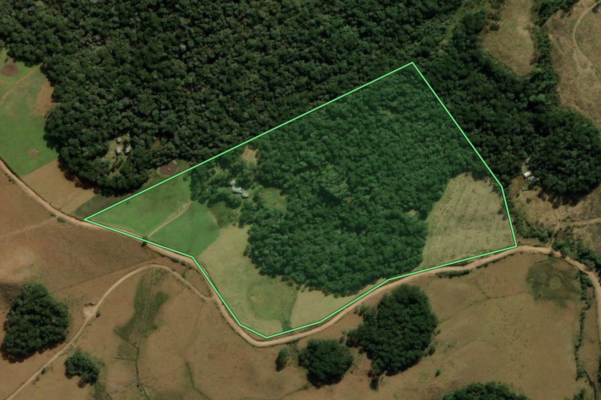 Imagem de satélite do imóvel rural em Cambará do Sul (RS), com o contorno declarado no CAR desenhado por cima.
