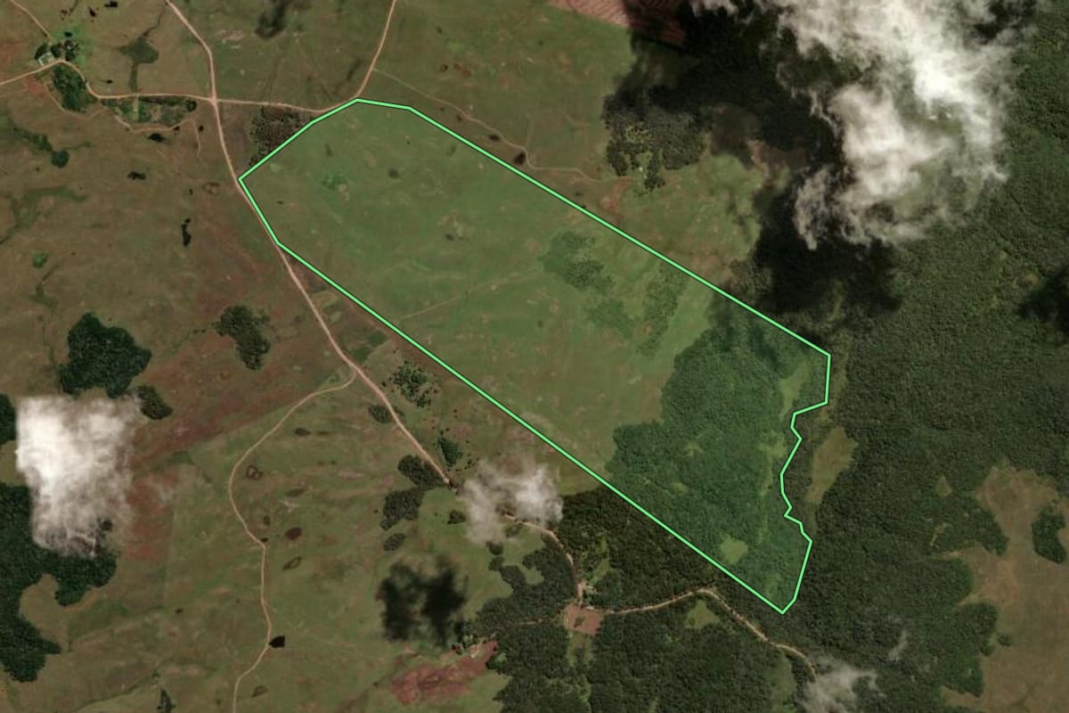Imagem de satélite do imóvel rural em Cambará do Sul (RS), com o contorno declarado no CAR desenhado por cima.