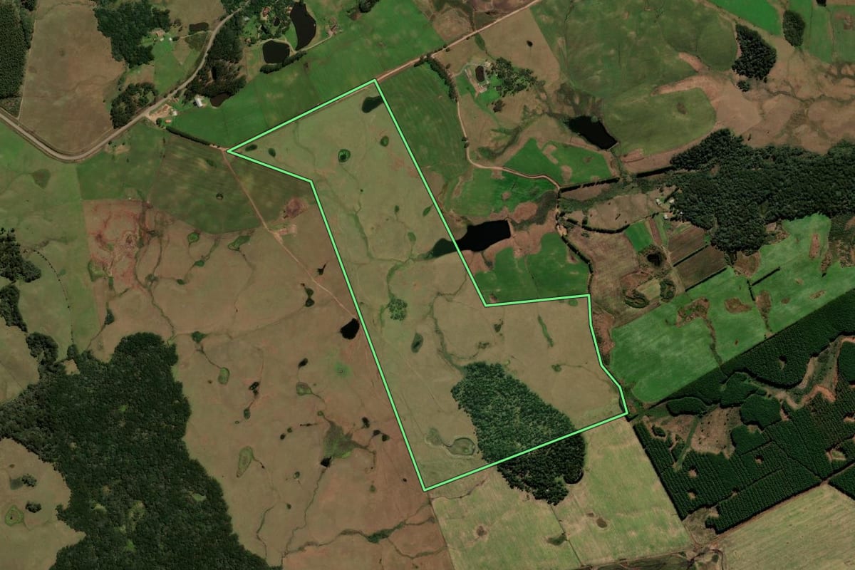 Imagem de satélite do imóvel rural em Cambará do Sul (RS), com o contorno declarado no CAR desenhado por cima.