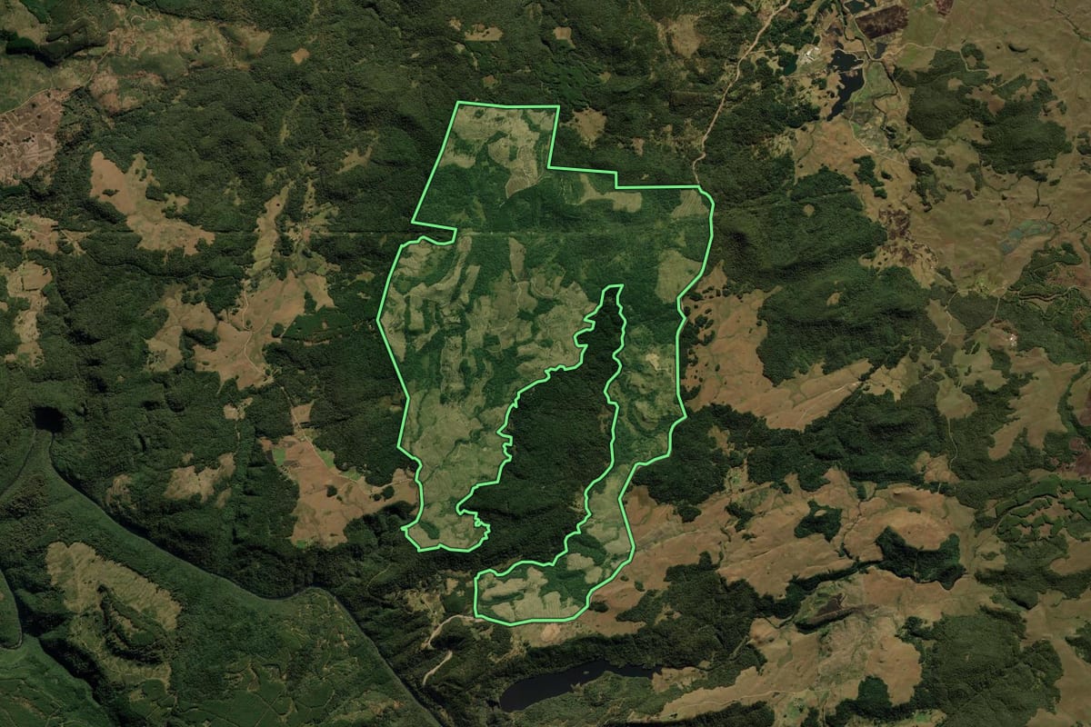 Imagem de satélite do imóvel rural em Cambará do Sul (RS), com o contorno declarado no CAR desenhado por cima.