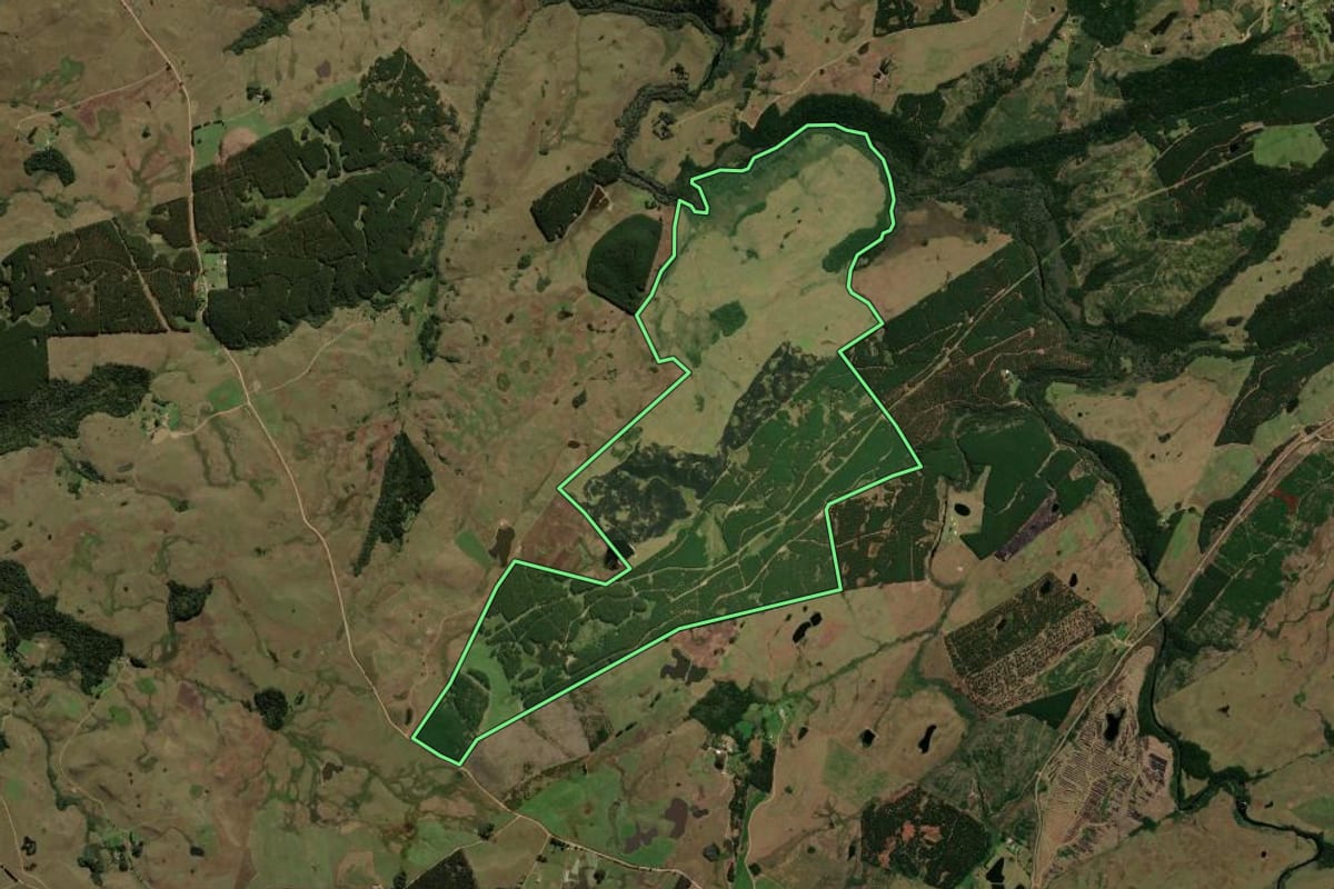 Imagem de satélite do imóvel rural em Jaquirana (RS), com o contorno declarado no CAR desenhado por cima.