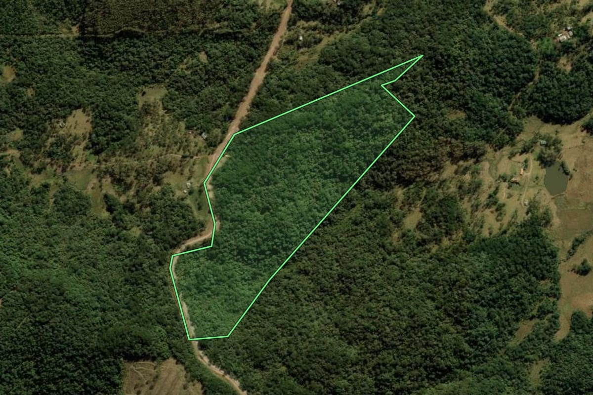 Imagem de satélite do imóvel rural em Cambará do Sul (RS), com o contorno declarado no CAR desenhado por cima.