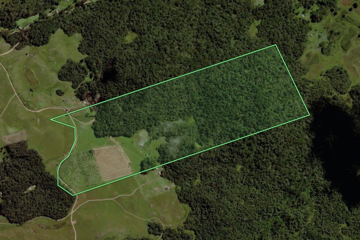 Imagem de satélite do imóvel rural em Cambará do Sul (RS), com o contorno declarado no CAR desenhado por cima.