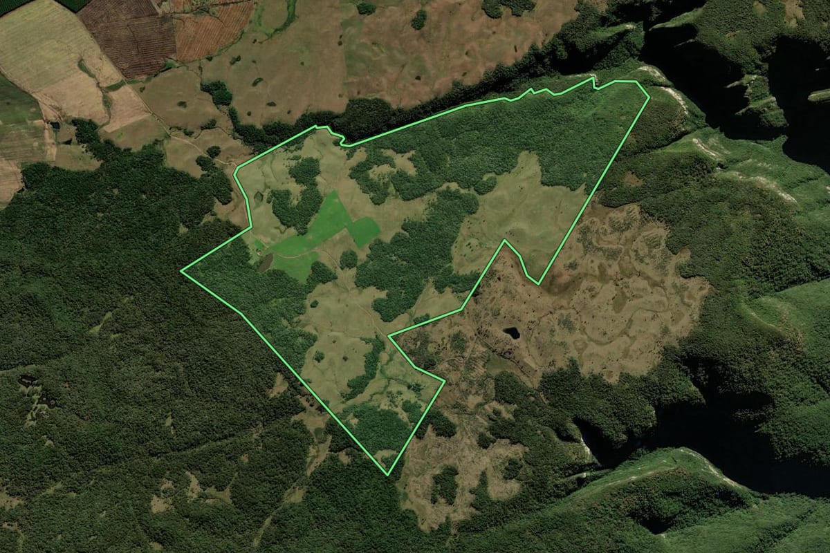 Imagem de satélite do imóvel rural em Cambará do Sul (RS), com o contorno declarado no CAR desenhado por cima.